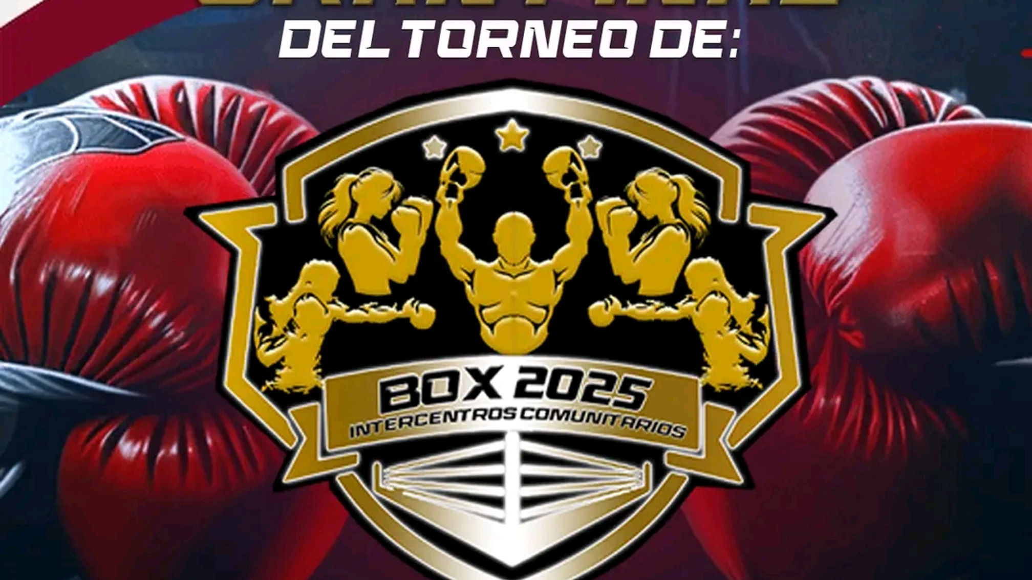 GRAN FINAL DEL TORNEO DE BOX 2025